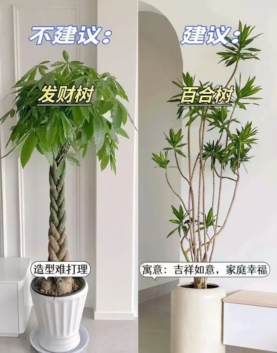 2-.jpg 2-.jpg