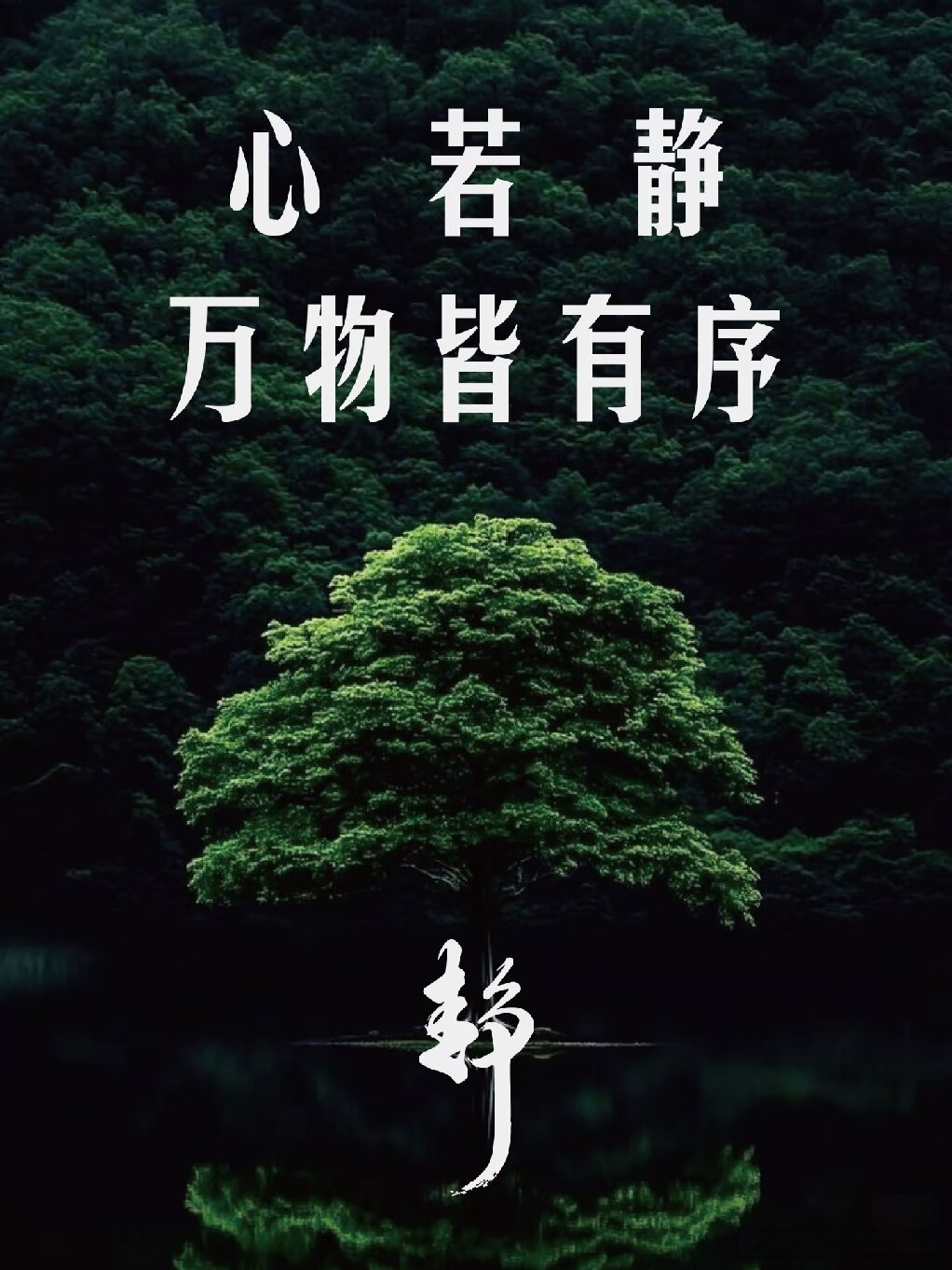 be3c1ee46798b5c2992c78d9a38cf11f.jpg be3c1ee46798b5c2992c78d9a38cf11f.jpg